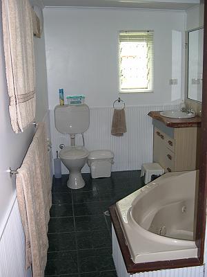 Bathroom before Painting