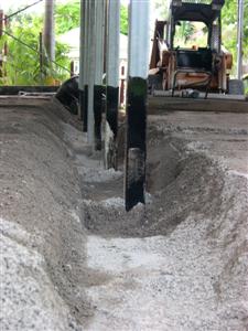 Closeup of the stumps, where the concrete will be the thickest