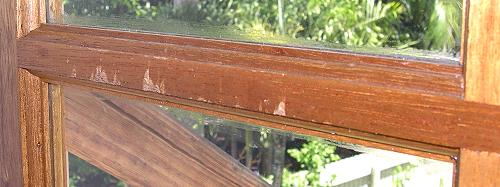 Did a Beaver Chew on my Timber Door?