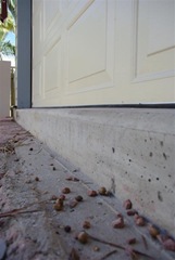 Large Step up from Driveway to Garage